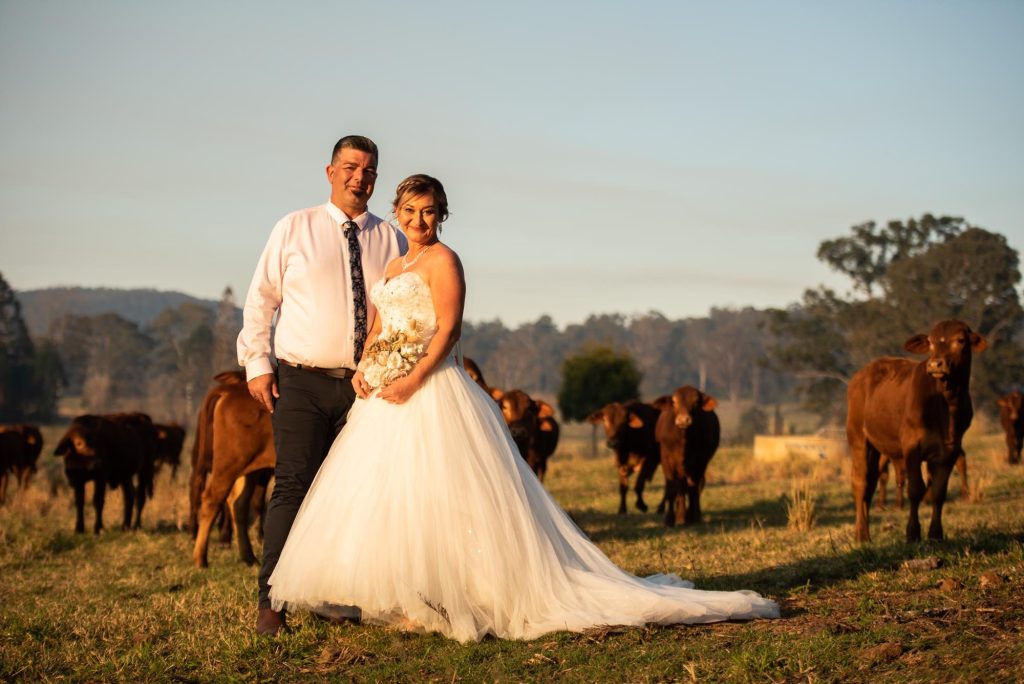 A bride and groom standing outdoors in a field with cows in the background during sunset.