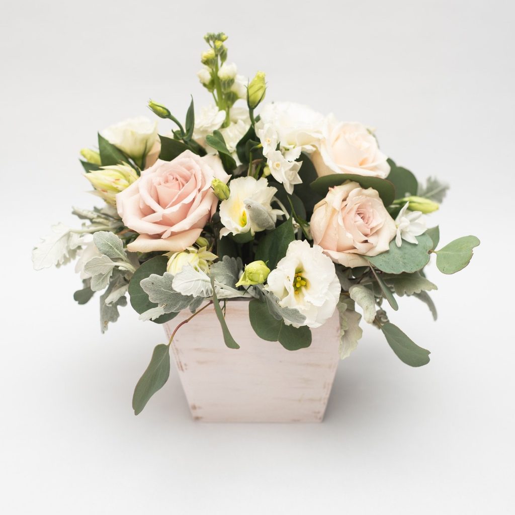 Rustic white planter pot with a beautiful soft selection of premium blush roses and delicate white lisianthus, combined with fragrant stock. The foliage is the soft tactile  lambs ear and eucalyptus polyanthemos designed by Hart and Flowers based in 
